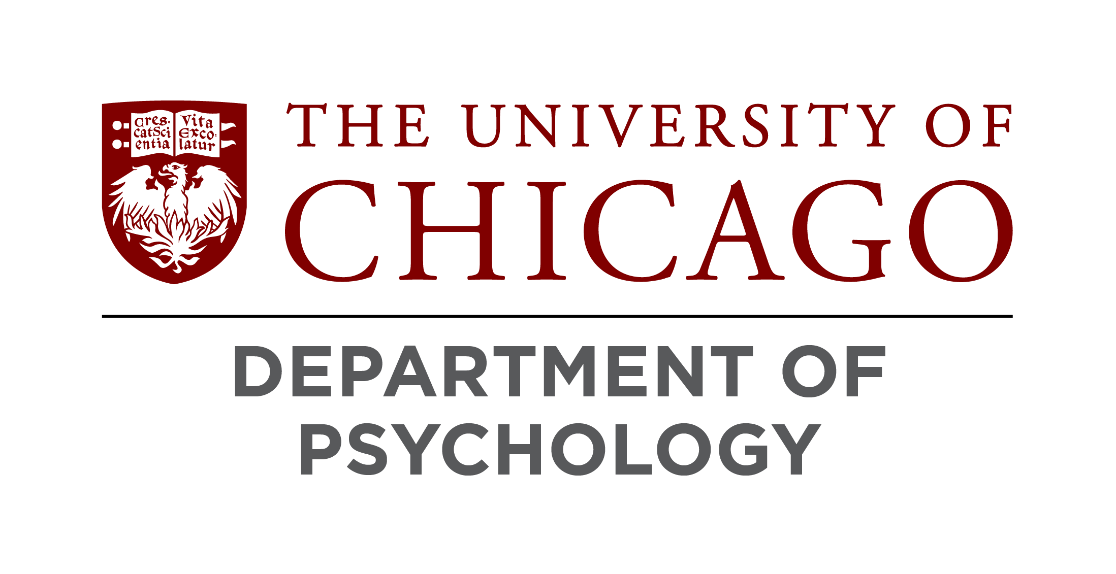 psychology phd programs in chicago